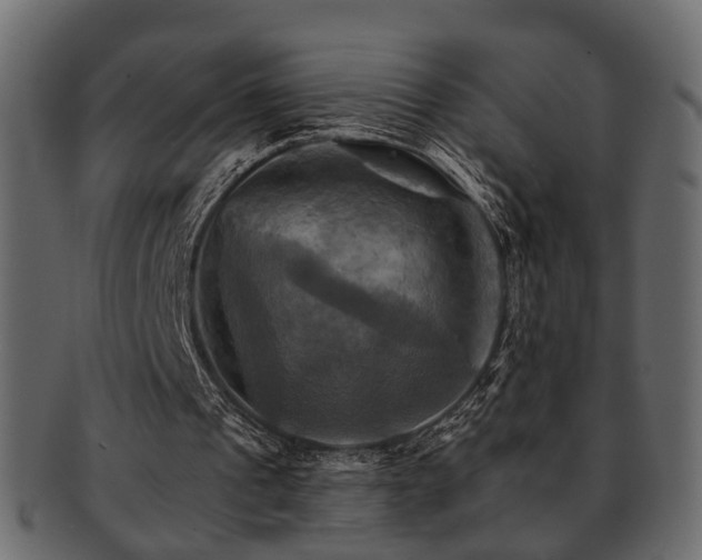 X0000093220241200709261637
