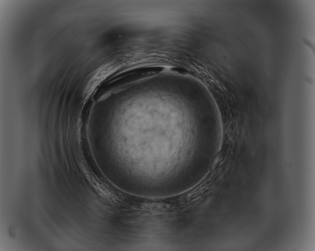 X0000093220242200709261637