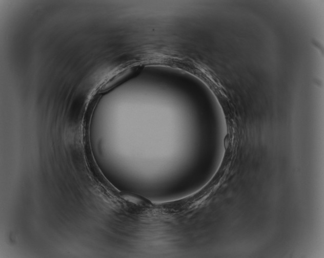 X0000093220244200709261637