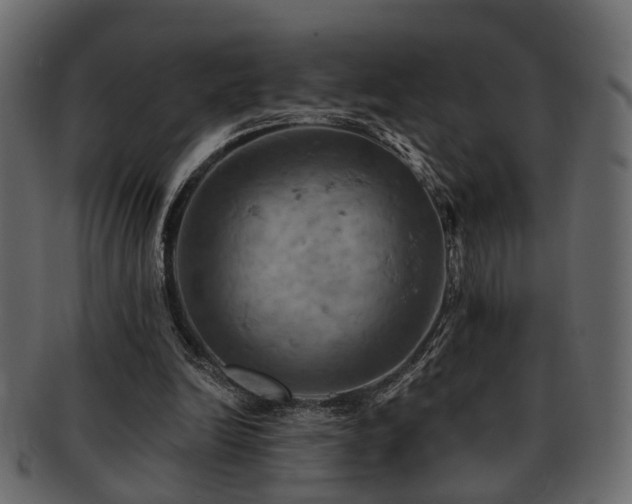 X0000093220246200709261637