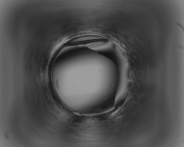 X0000093220248200709261637