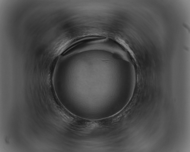 X0000093220249200709261637