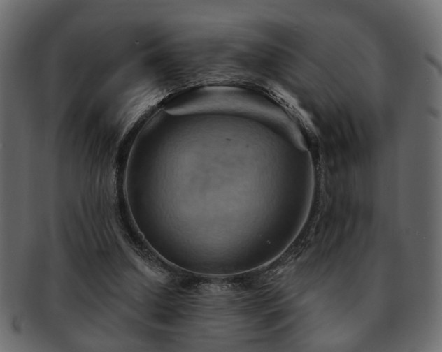 X0000093220250200709261637