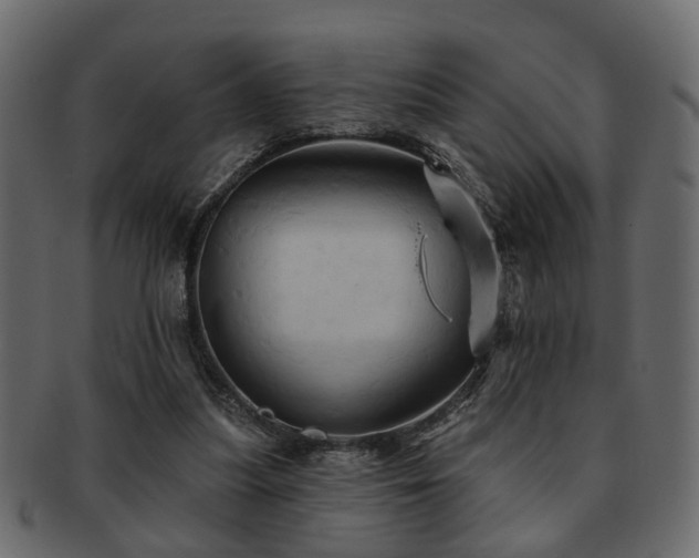 X0000093220251200709261637