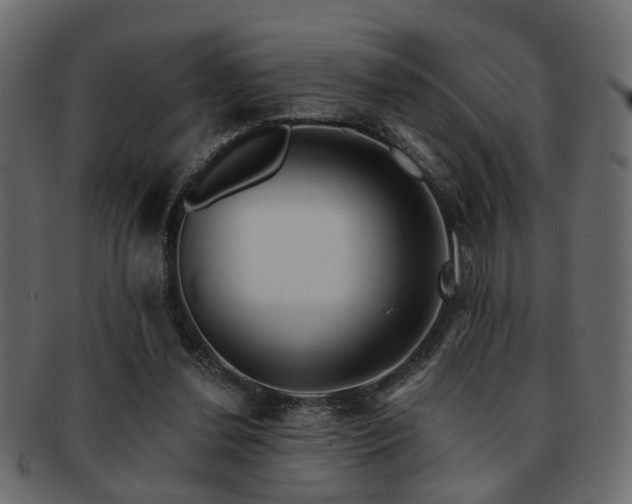 X0000093220252200709261637