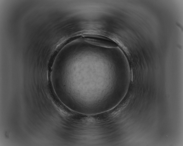 X0000093220253200709261637