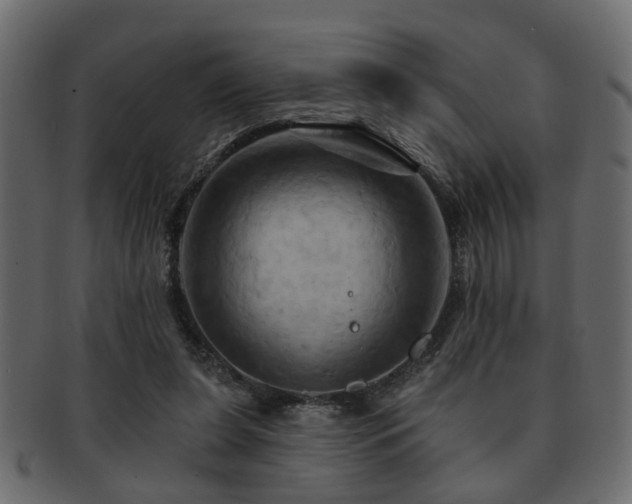 X0000093220255200709261637
