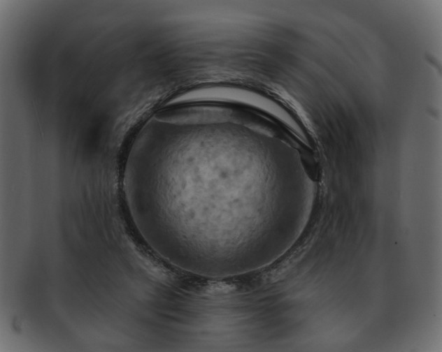 X0000093220257200709261637