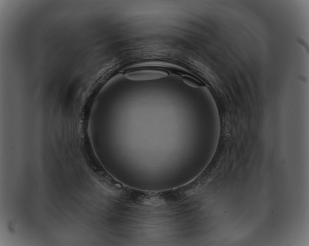 X0000093220258200709261637