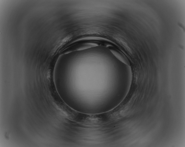 X0000093220260200709261637