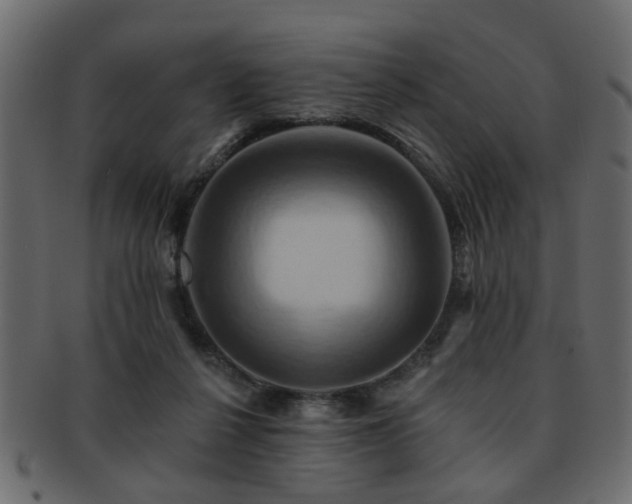 X0000093220264200709261637