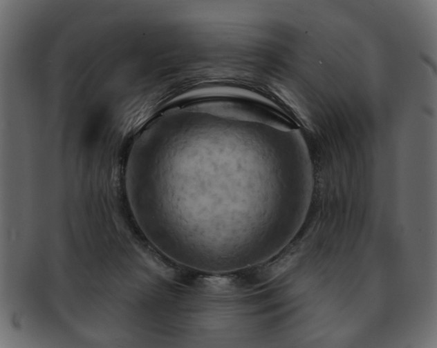 X0000093220265200709261637