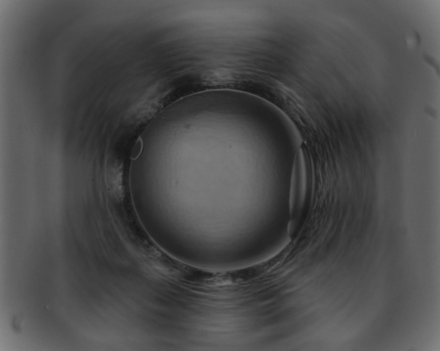 X0000093220267200709261637