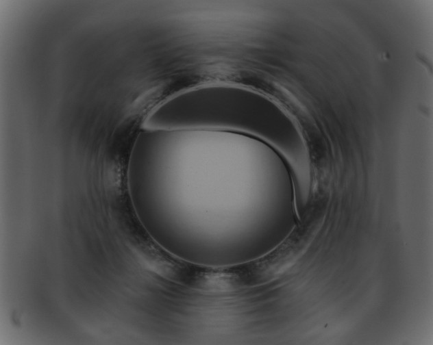 X0000093220268200709261637
