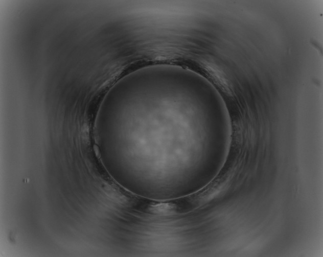 X0000093220269200709261637