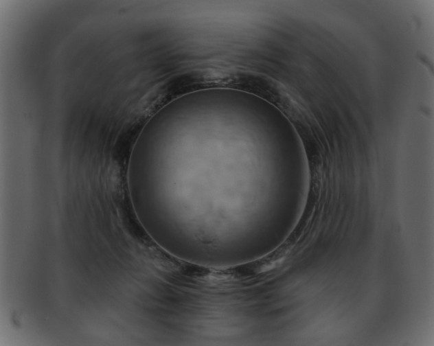 X0000093220270200709261637