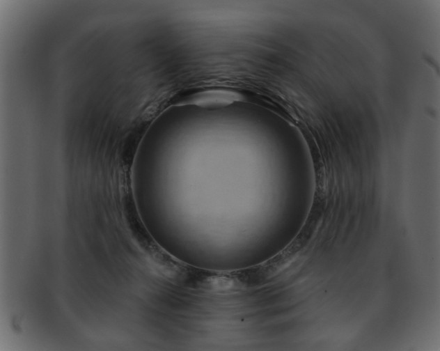 X0000093220272200709261637