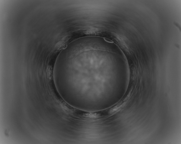 X0000093220273200709261637
