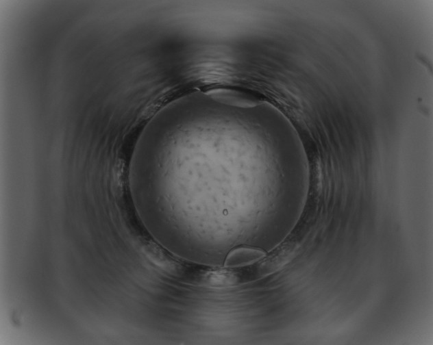 X0000093220275200709261637