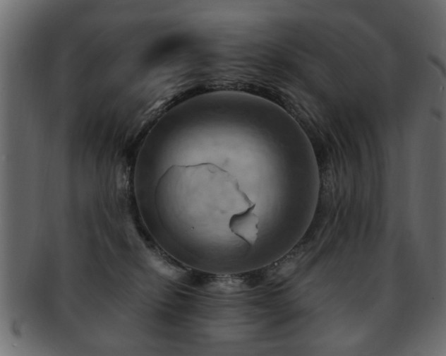 X0000093220278200709261637