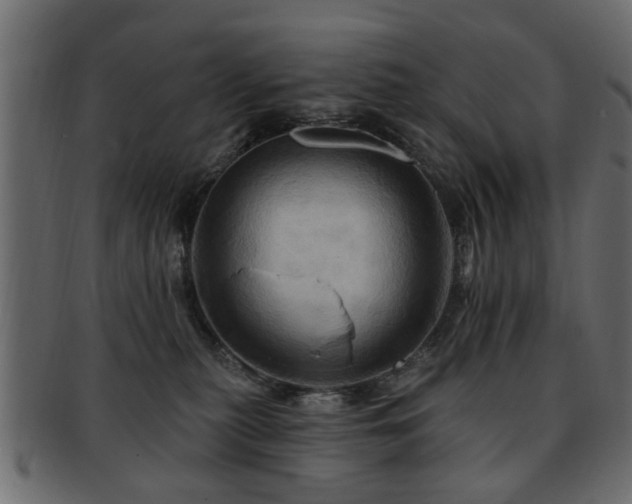 X0000093220279200709261637