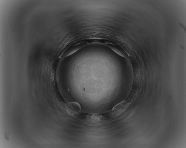 X0000093220282200709261637