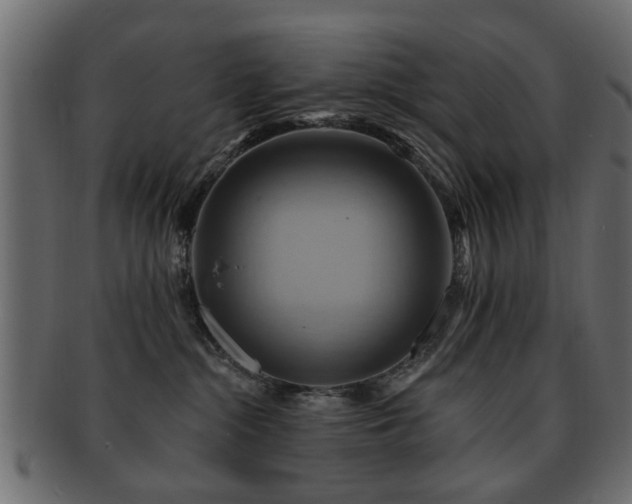 X0000093220284200709261638