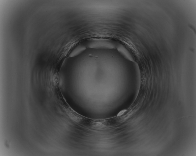 X0000093220285200709261638