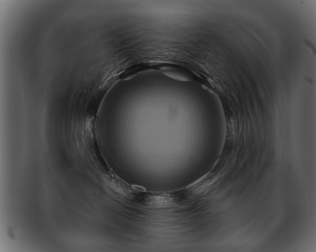 X0000093220286200709261638