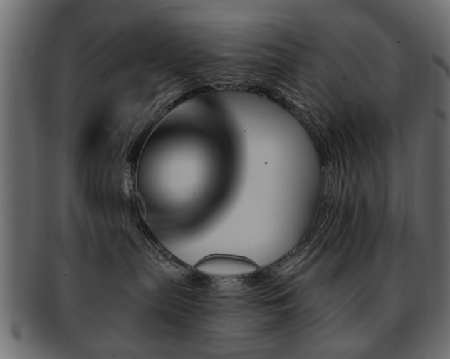 X0000093220287200709261638
