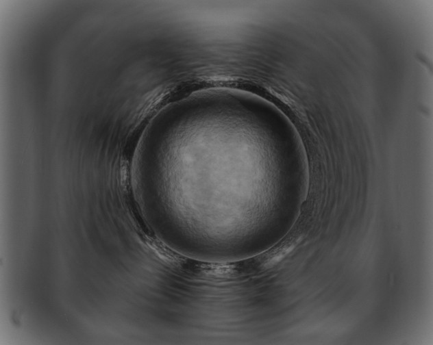 X0000093220288200709261638