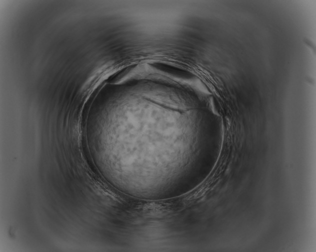 X0000093220290200709261637