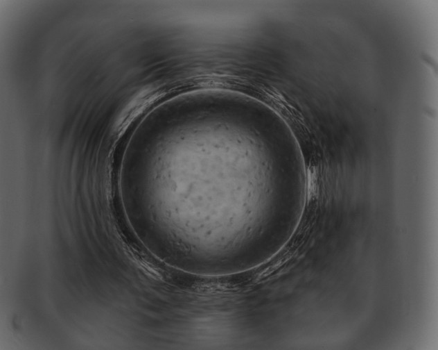 X0000093220291200709261637