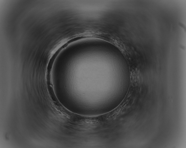 X0000093220292200709261637
