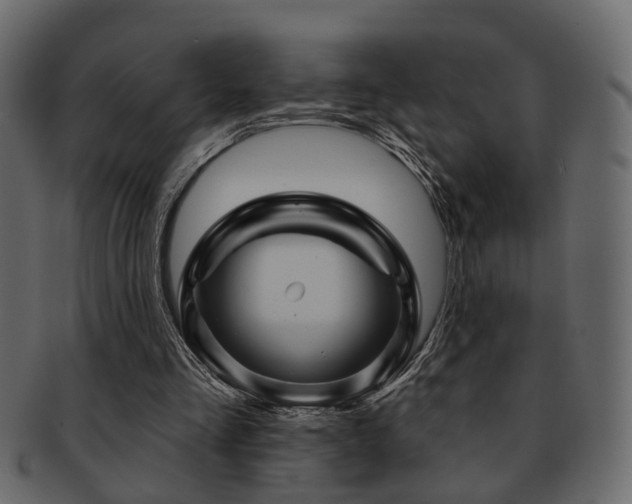 X0000093220293200709261637