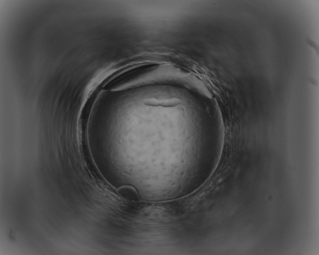 X0000093220294200709261637