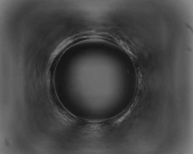 X0000093220295200709261637