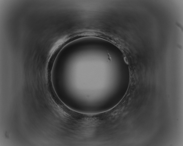 X0000093220296200709261637