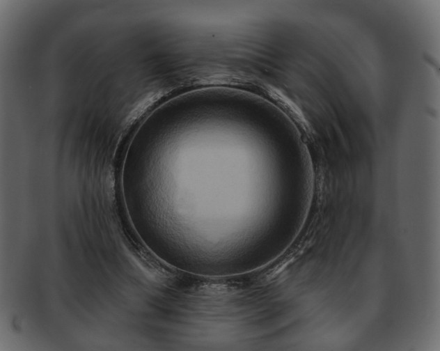 X0000093220298200709261637