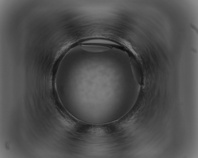 X0000093220299200709261637