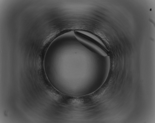 X0000093220303200709261637