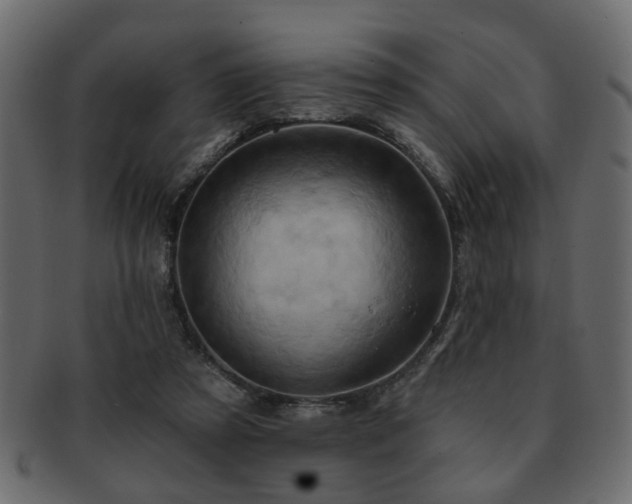 X0000093220305200709261637