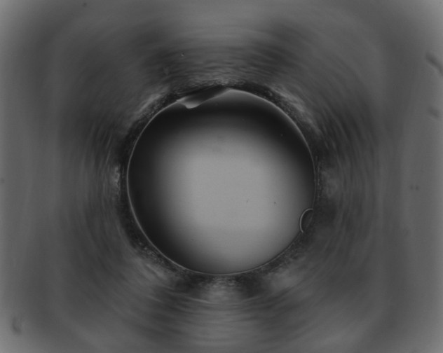 X0000093220308200709261637