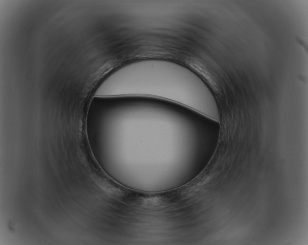 X0000093220309200709261637