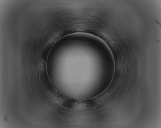 X0000093220311200709261637