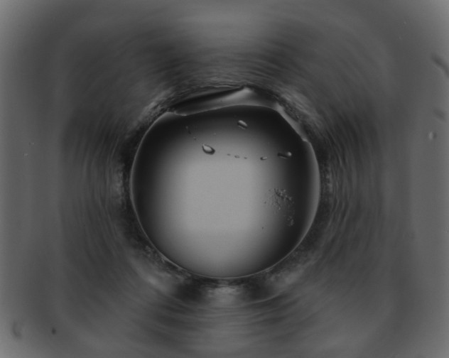 X0000093220312200709261637