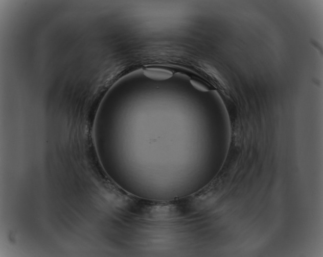 X0000093220314200709261637