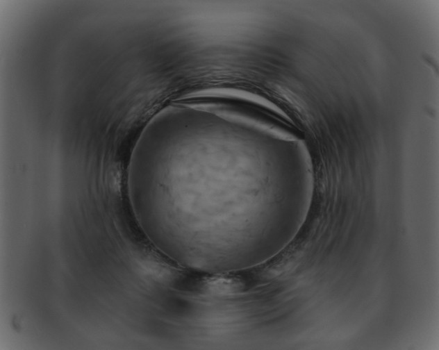 X0000093220315200709261637