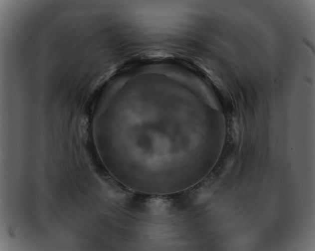 X0000093220319200709261637