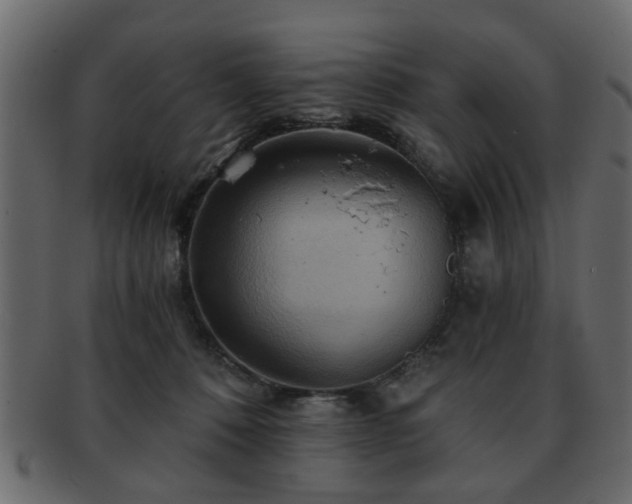 X0000093220320200709261637